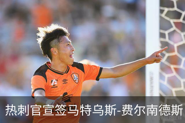 热刺官宣签马特乌斯-费尔南德斯 转会费8500万镑破纪录