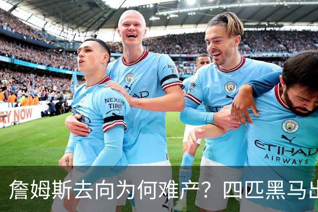 詹姆斯去向为何难产？四匹黑马出现加剧混乱