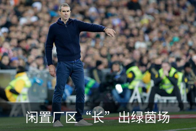 闲置厂区“长”出绿茵场